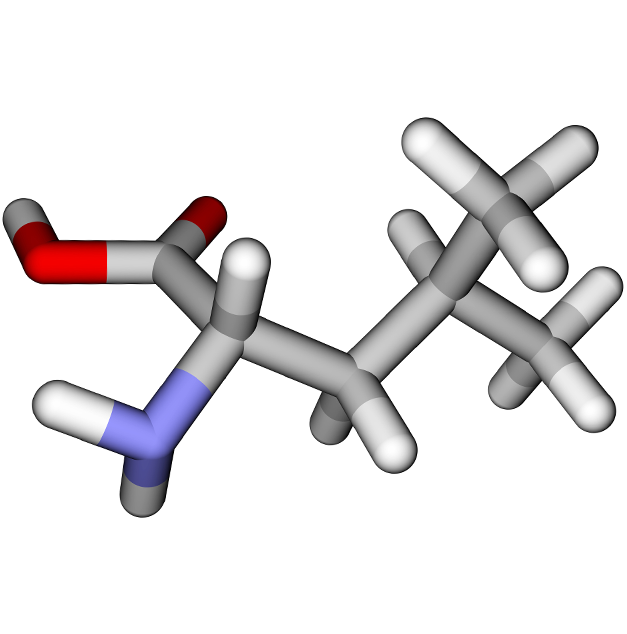 L Leucine Molecular Structure