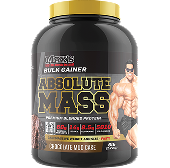 Max's Absolute Mass Max's Absolute Mass