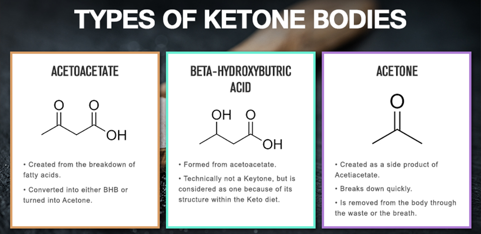 Beta-Hydroxybutyrate (BHB) - Vidan Diagnostics