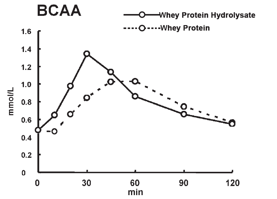 Graph of BCAA Absorption From Whey Protein Hydrolysate vs Whey Protein