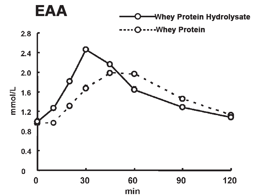Graph of Blood levels of EAA Following Consumption of Whey Protein Hydrolysate vs Whey Protein