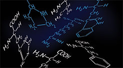 Amino Acids