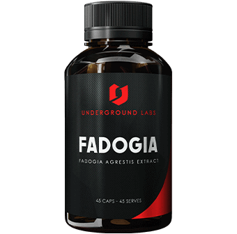 Underground Labs Fadogia Agrestis
